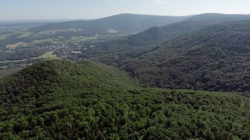 Prohlédněte si Jizerskohorské bučiny, novou památku UNESCO, z ptačí perspektivy